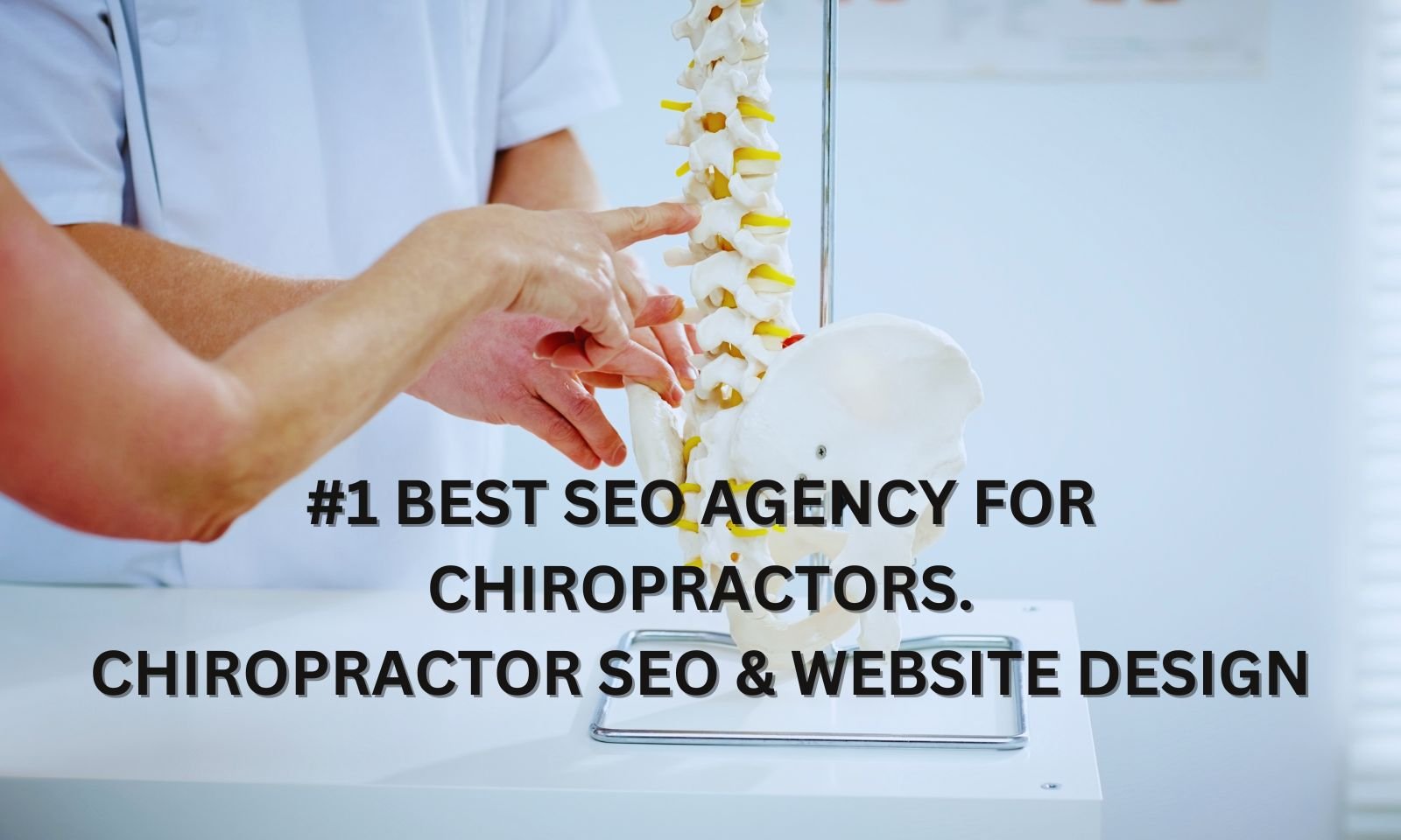 #1 Best SEO Agency for Chiropractors, Chiropractor SEO & Website Design